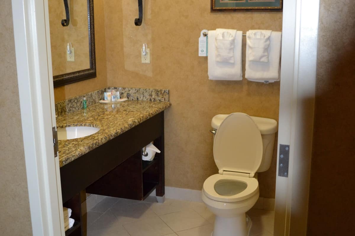 Free toiletries, hair dryer, towels