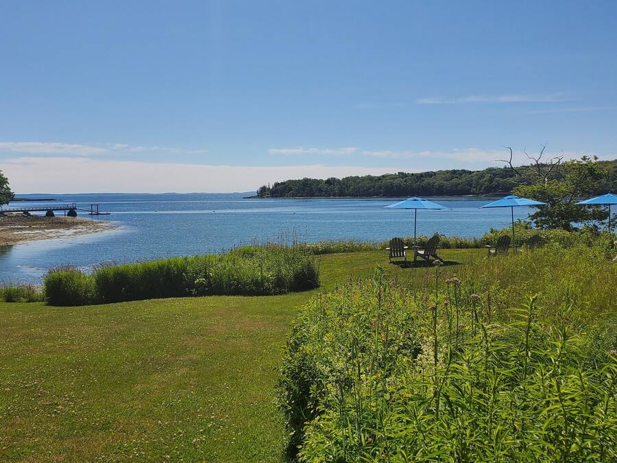 A lakeside view with a grassy area, a dock, and a small pier.