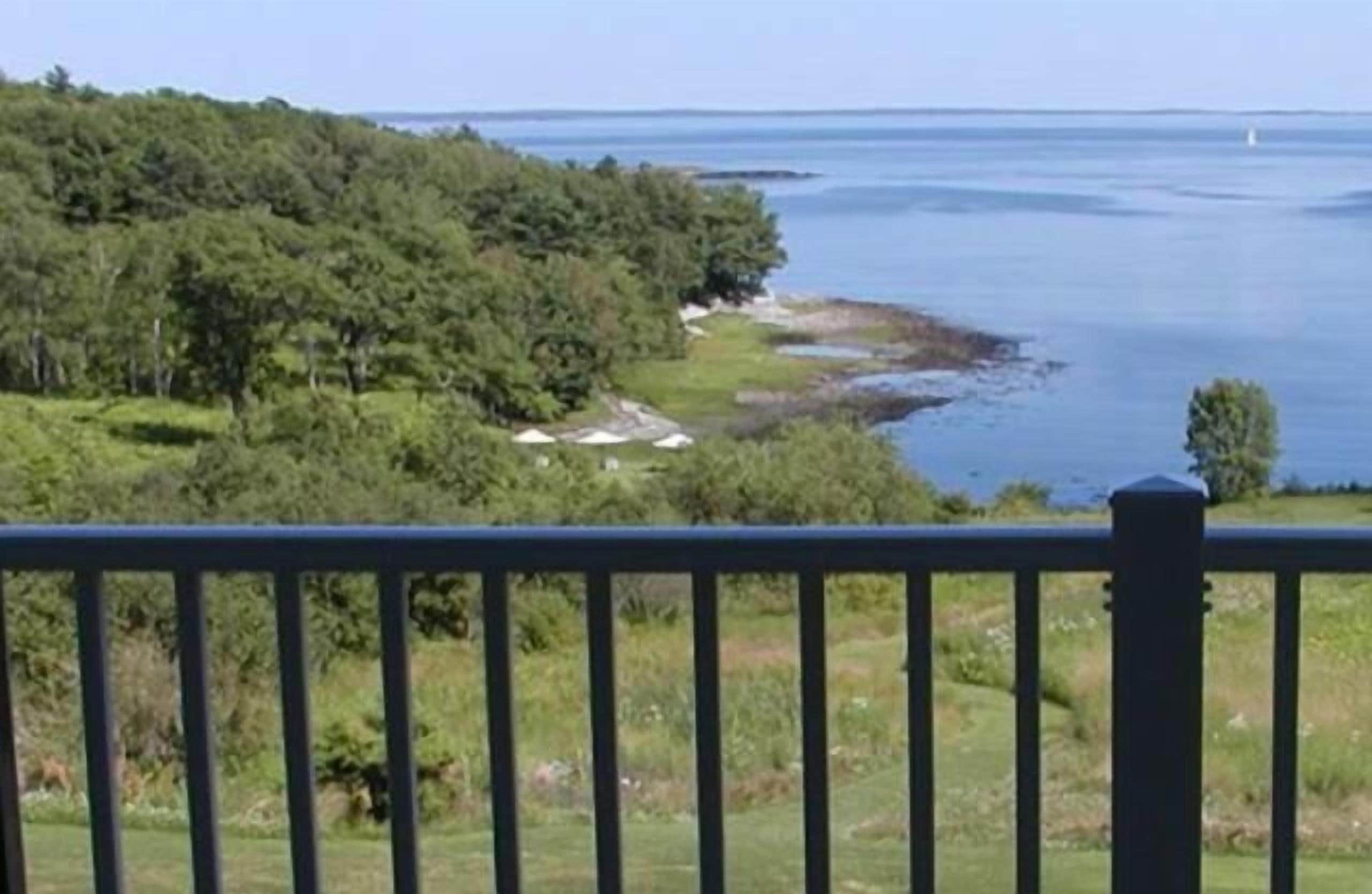 A coastal view with a forested area and a body of water.