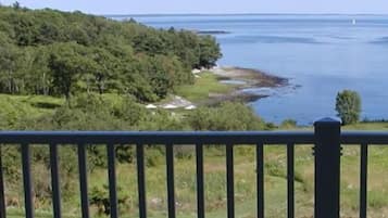 A coastal view with a forested area and a body of water.