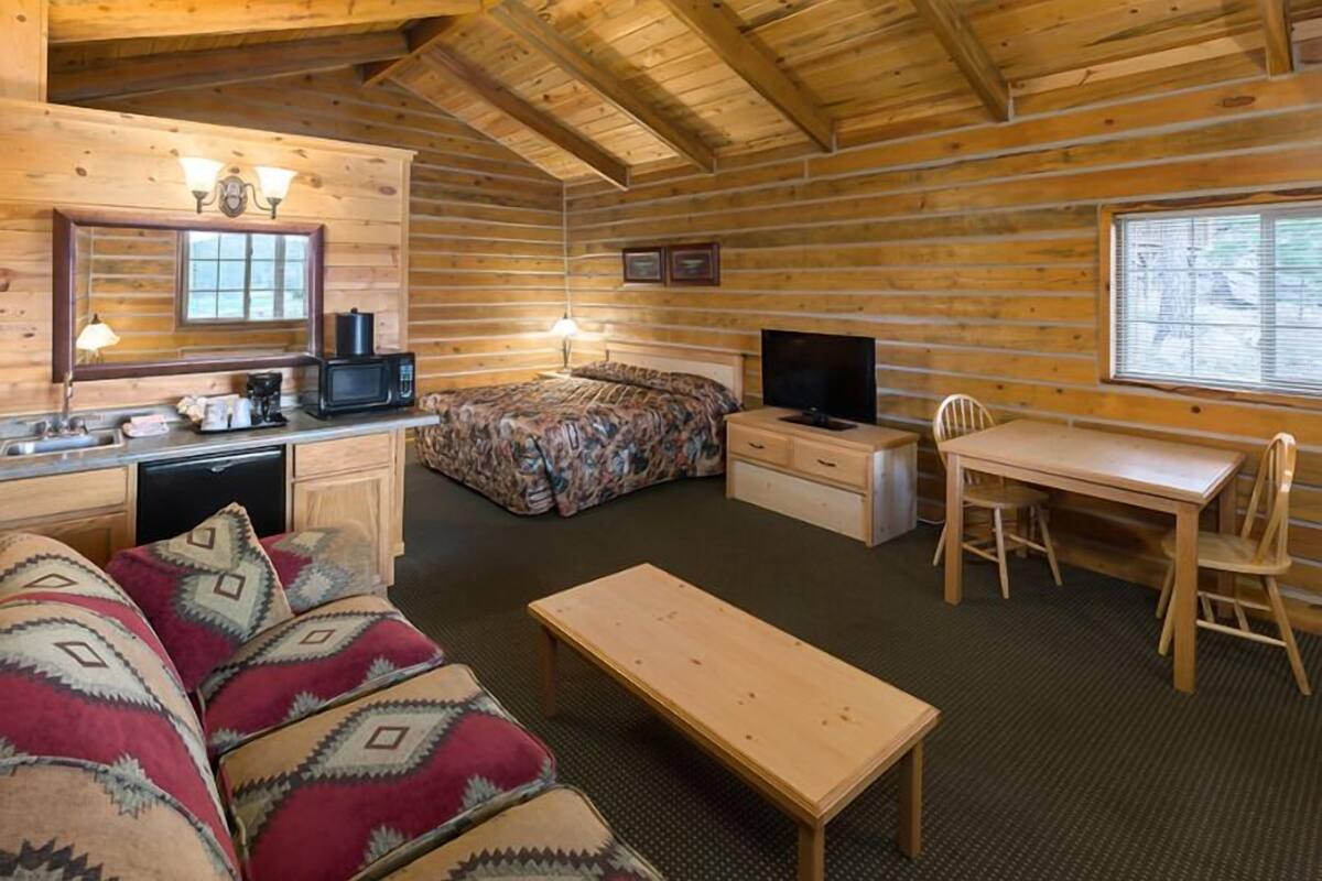 Una camera in baita di legno con un letto, una scrivania, una televisione, un divano e un angolo cottura.