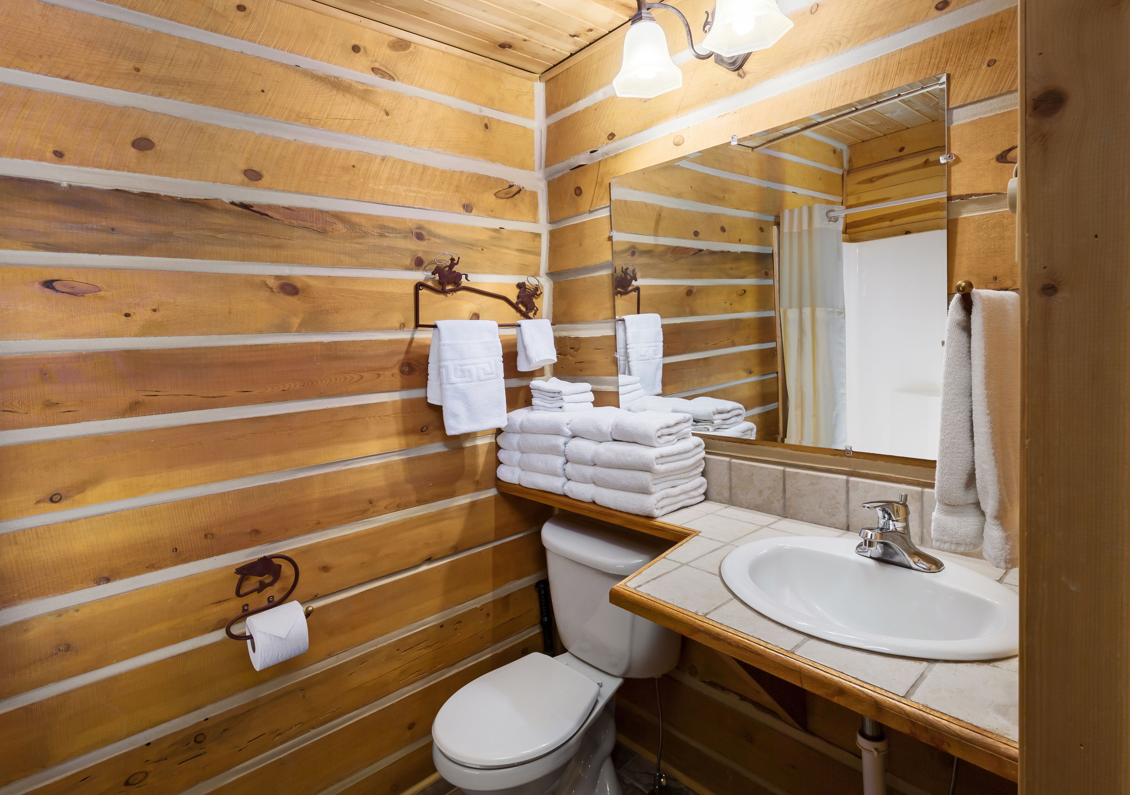 combined shower/bathtub, free toiletries, hair dryer, towels