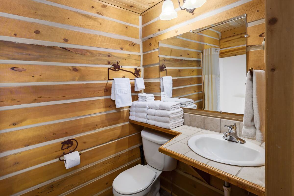 combined shower/bathtub, free toiletries, hair dryer, towels