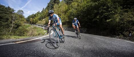 自転車