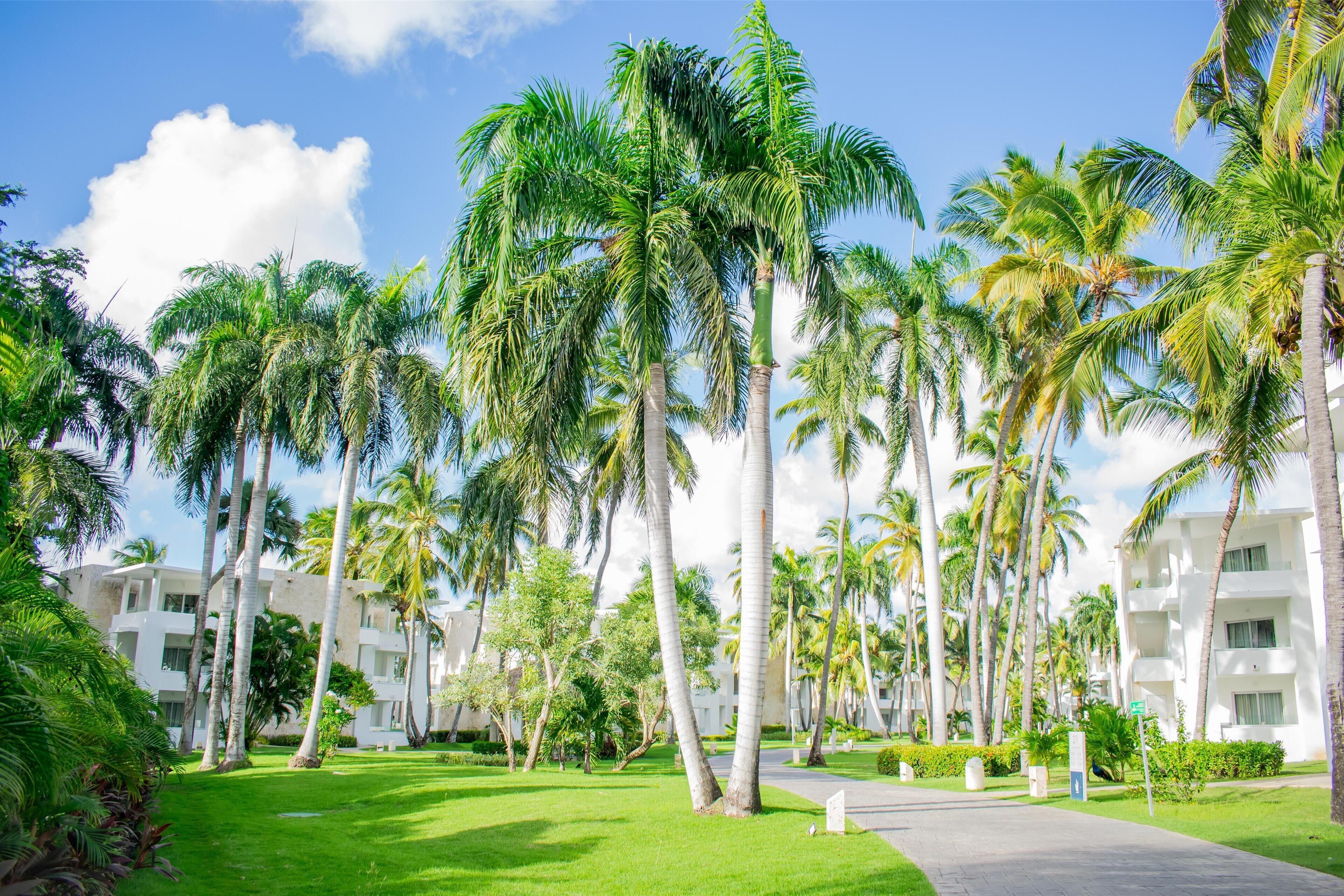 Photo - Grand Bavaro Princess - All Inclusive