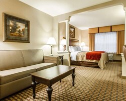 Suite, 1 King Bed with Sofa bed, Non Smoking | 1 bedroom, down comforters, desk, blackout drapes