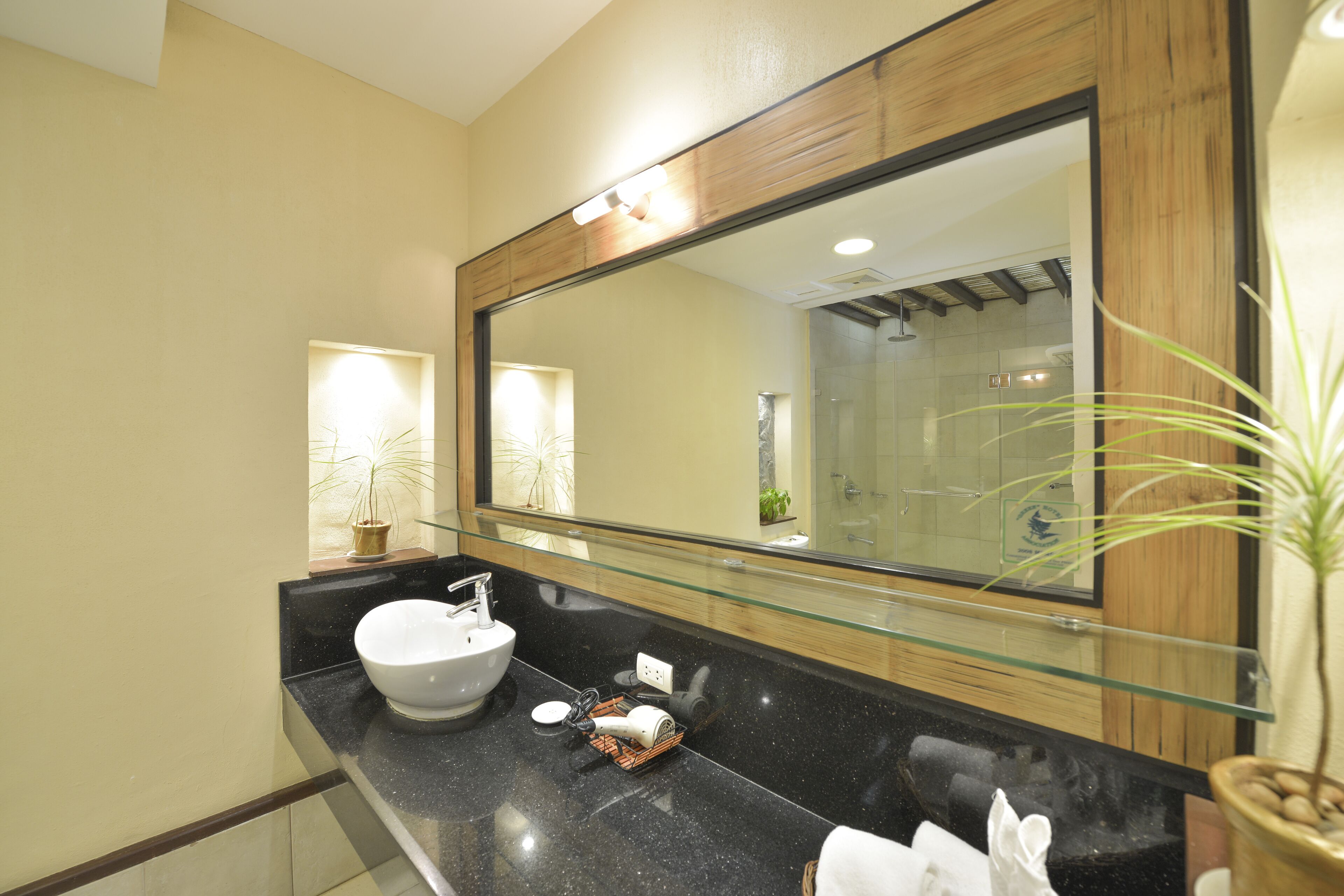 premier suite | bathroom sink