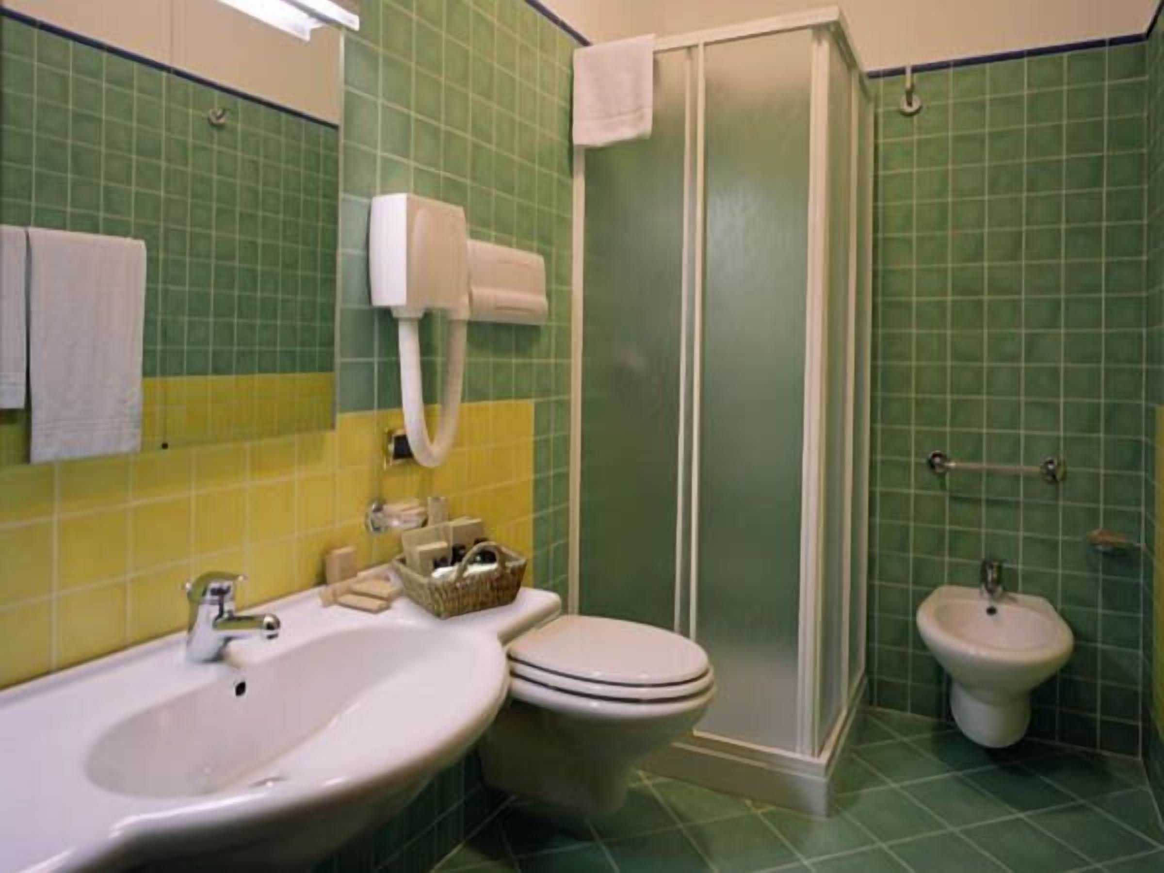 shower, free toiletries, hair dryer, bidet