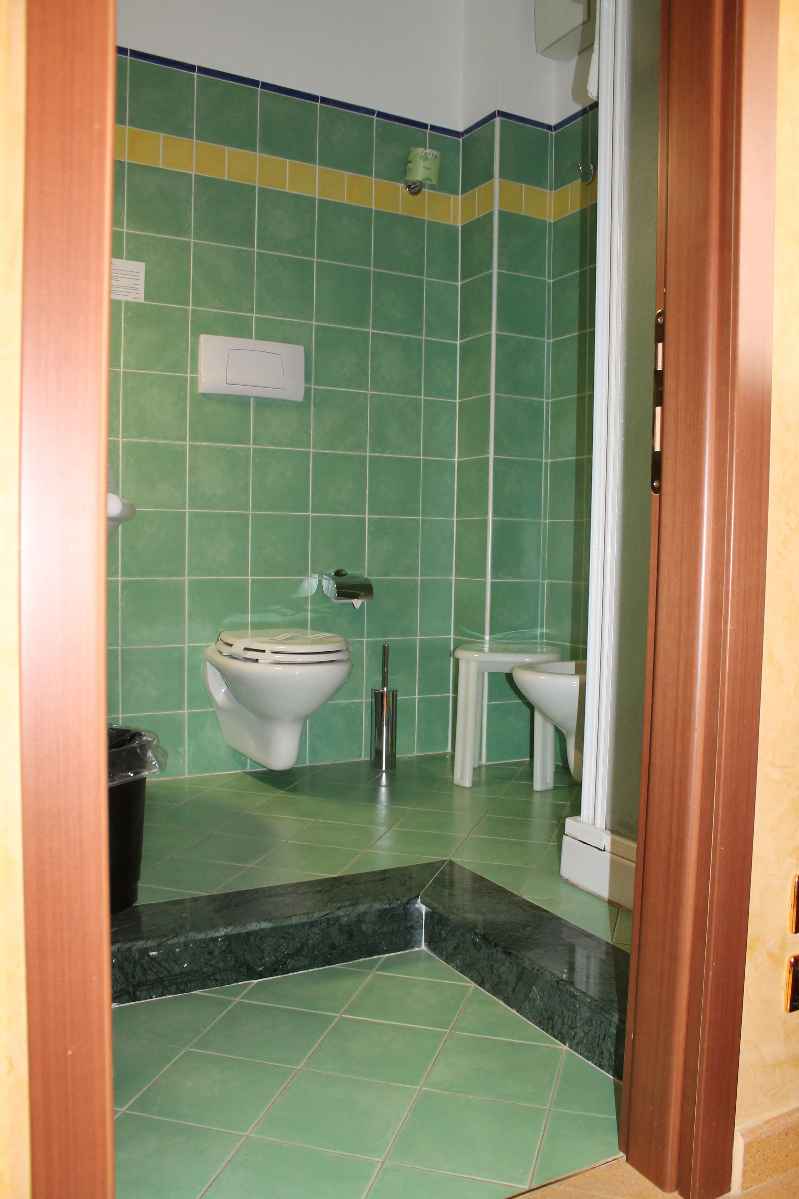 shower, free toiletries, hair dryer, bidet