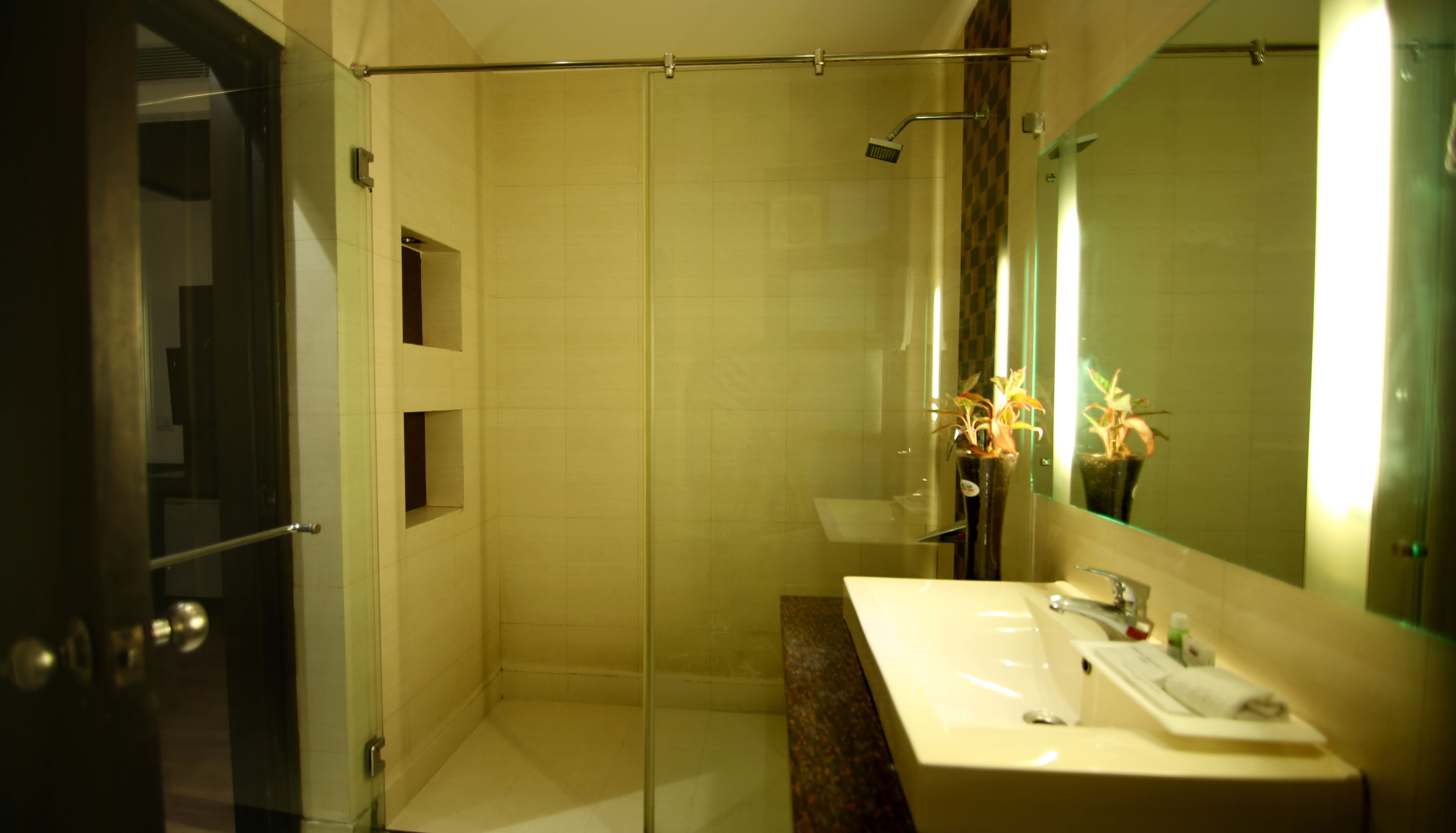 A modern bathroom with a glass shower enclosure, a sink with a mirror, and a potted plant.