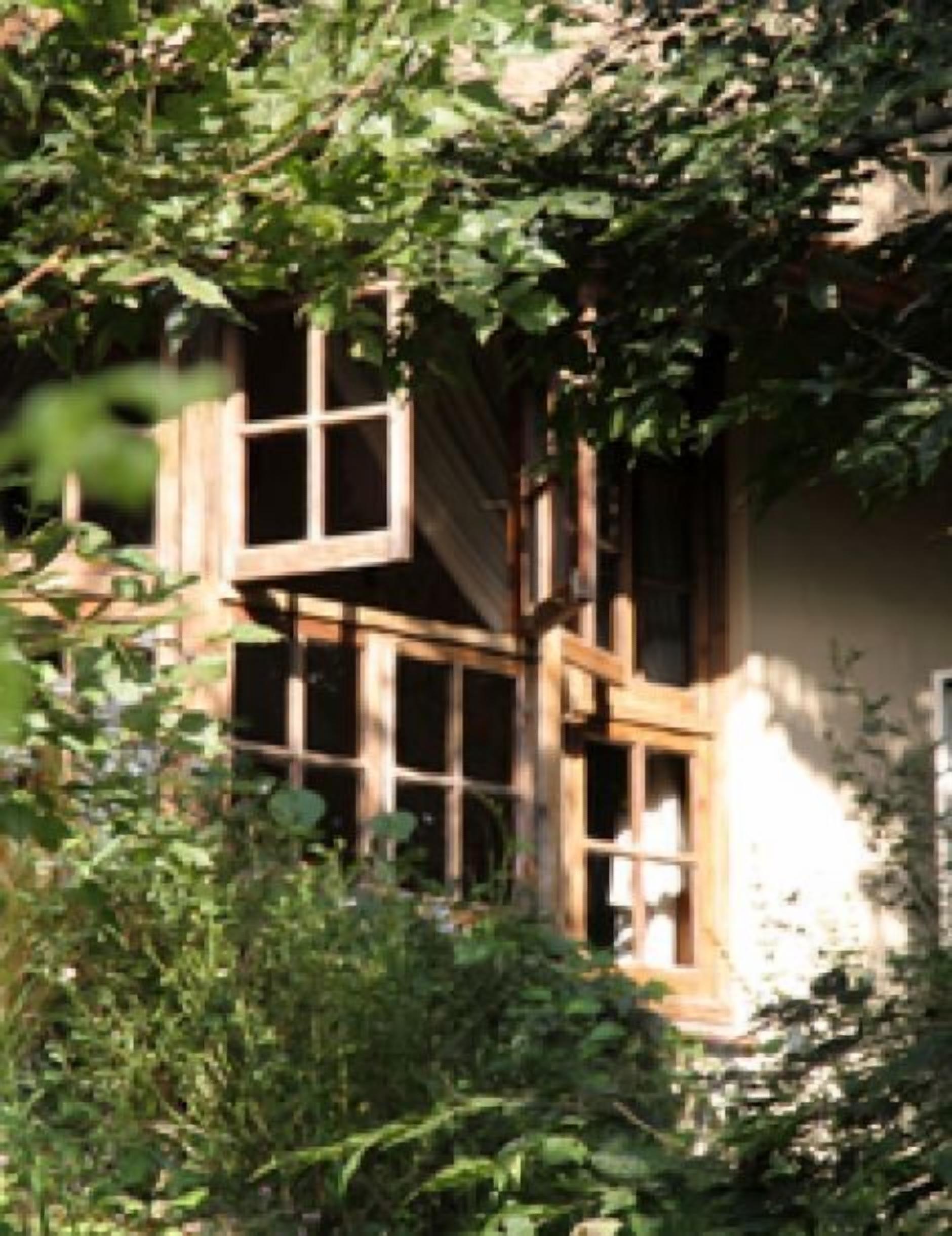 Un edificio con fachada de madera y varias ventanas, rodeado de abundante follaje.