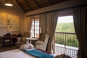 Deluxe Room, 1 King Bed, River View | View from room