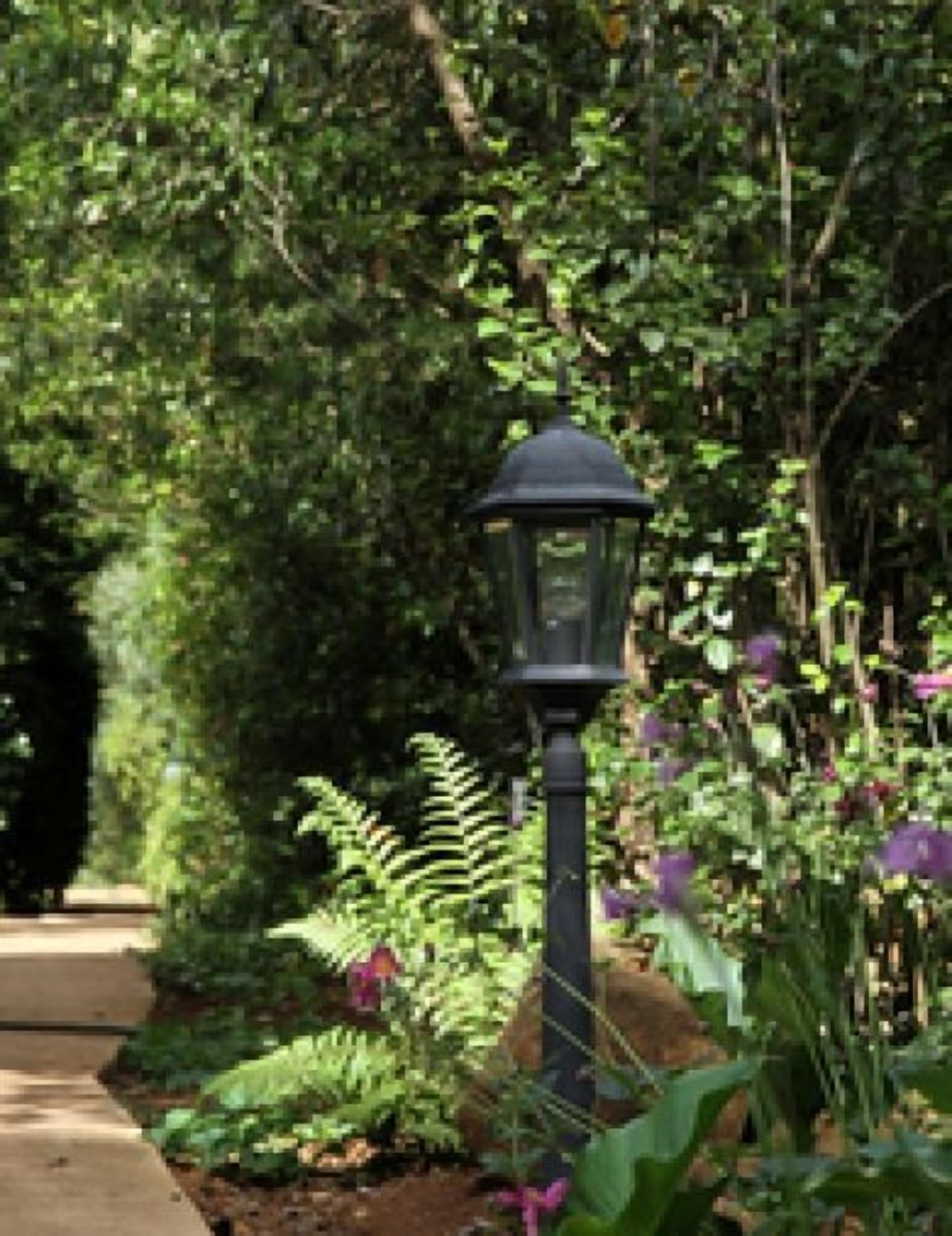 Un sendero en un jardín con un farol negro.