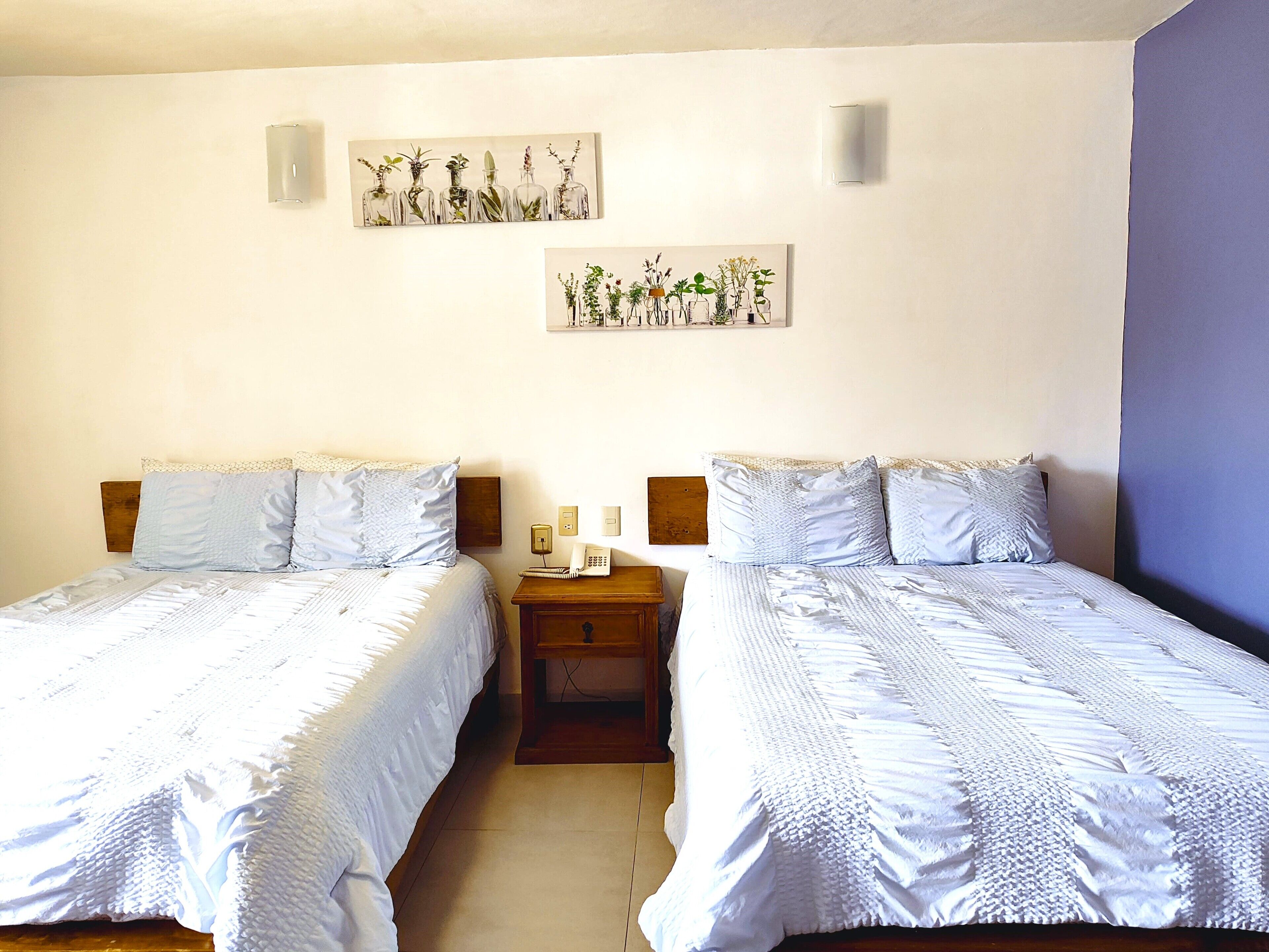 Foto - Hotel Jardines Del Carmen