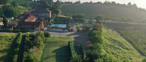 A large estate with a tennis court, vineyard, and a swimming pool.
