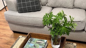 Una maleta antigua convertida en mesa de centro, con un libro, una planta en maceta y una piña.