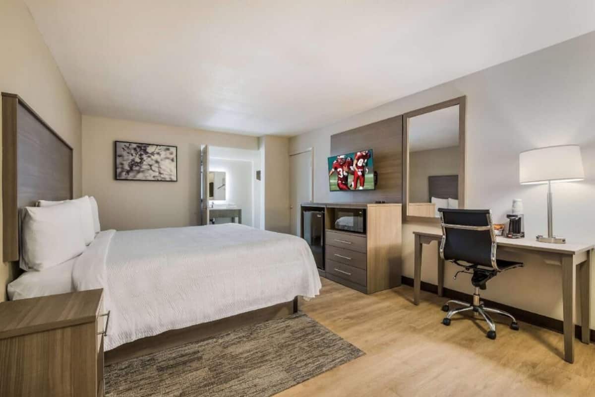 A hotel room with a bed, desk, chair, TV, and a mirror.