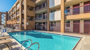 Outdoor pool, pool umbrellas, pool loungers