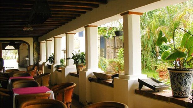 A covered outdoor seating area with wooden chairs and tables, potted plants, and a view of greenery.