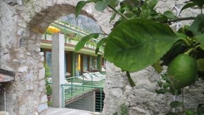 Un espace extérieur agrémenté d’une arche en pierre, d’un chemin menant à un bâtiment et d’une plante verte portant des fruits.