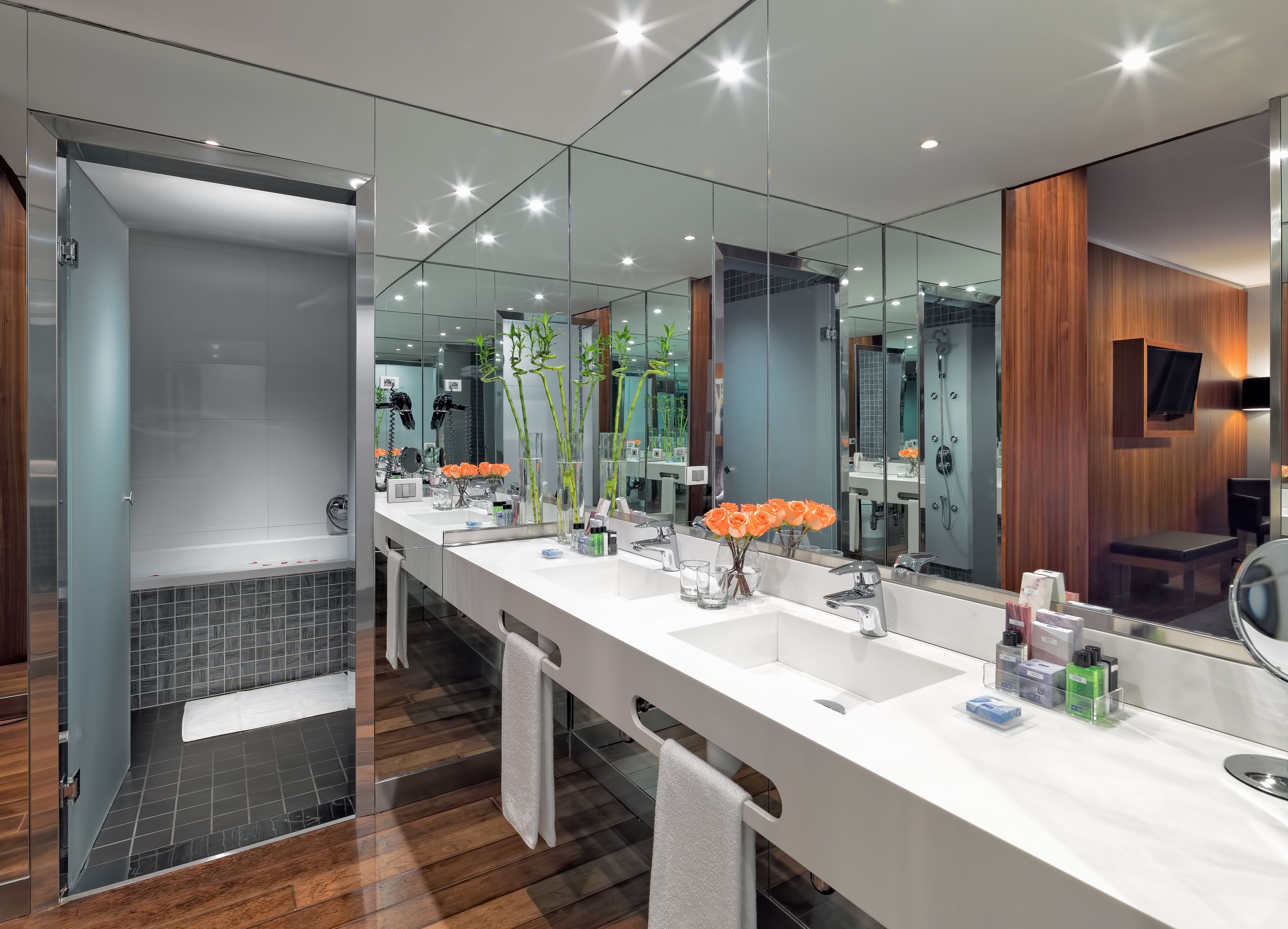 suite | bathroom | combined shower/bathtub, eco-friendly toiletries, hair dryer, bidet