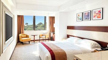 Premier deluxe room,1 double bed