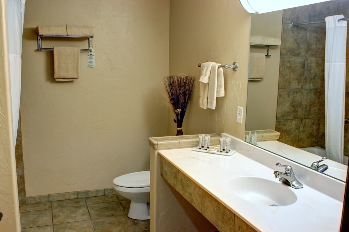 executive suite | bathroom | combined shower/bathtub, free toiletries, hair dryer, towels