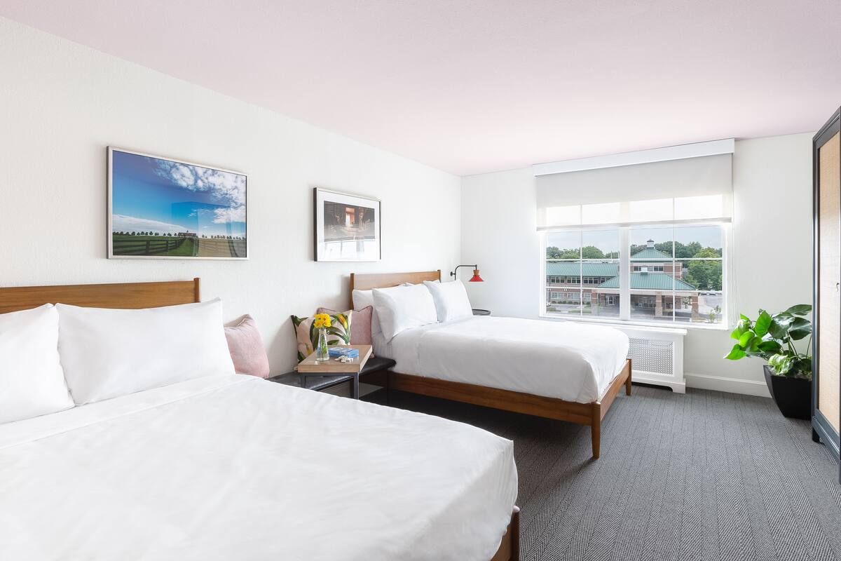 Ein Hotelzimmer mit zwei Betten, einem Fenster und Blick auf die Stadt sowie einer Pflanze.