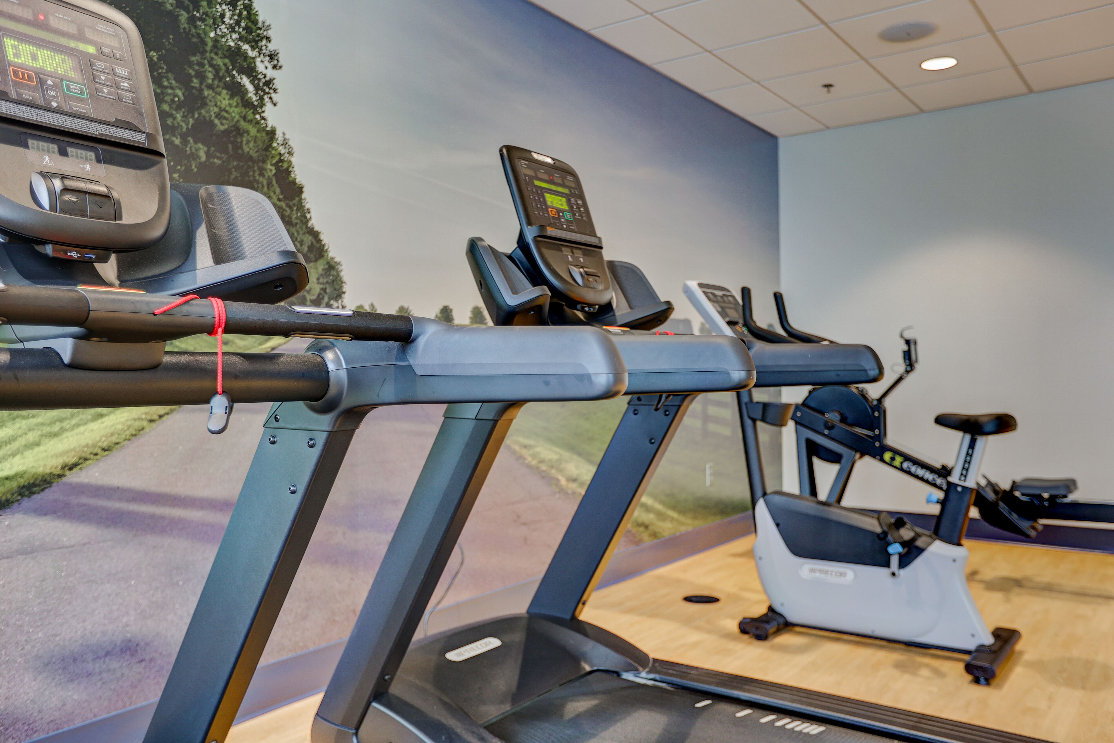 A gym with treadmills and stationary bikes, a wooden floor, and a mural of a park.