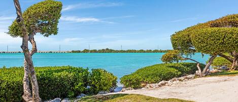 A coastal landscape with a clear view of the sea, a sandy path, and neatly trimmed bushes.