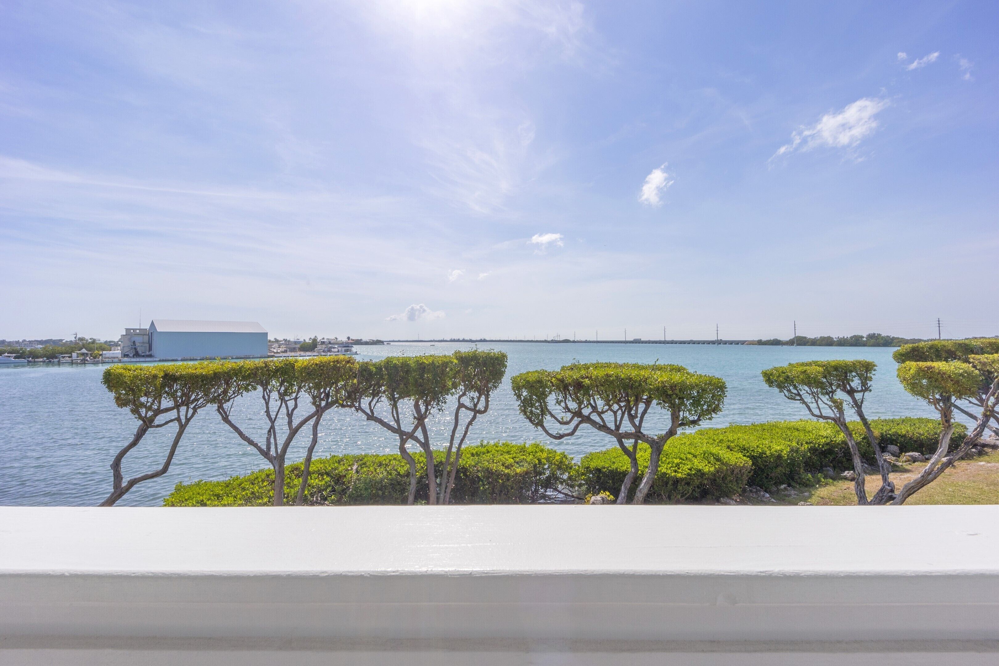 A waterfront view with a row of neatly trimmed trees and a distant building.