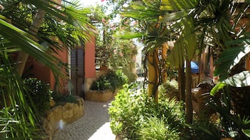Terrein van de accommodatie