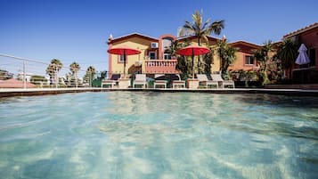 Relax by the pool surrounded by palm trees and lounge chairs.