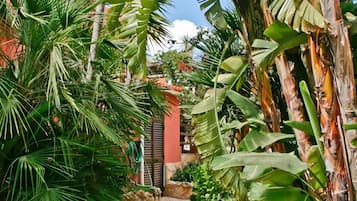 Jardín
