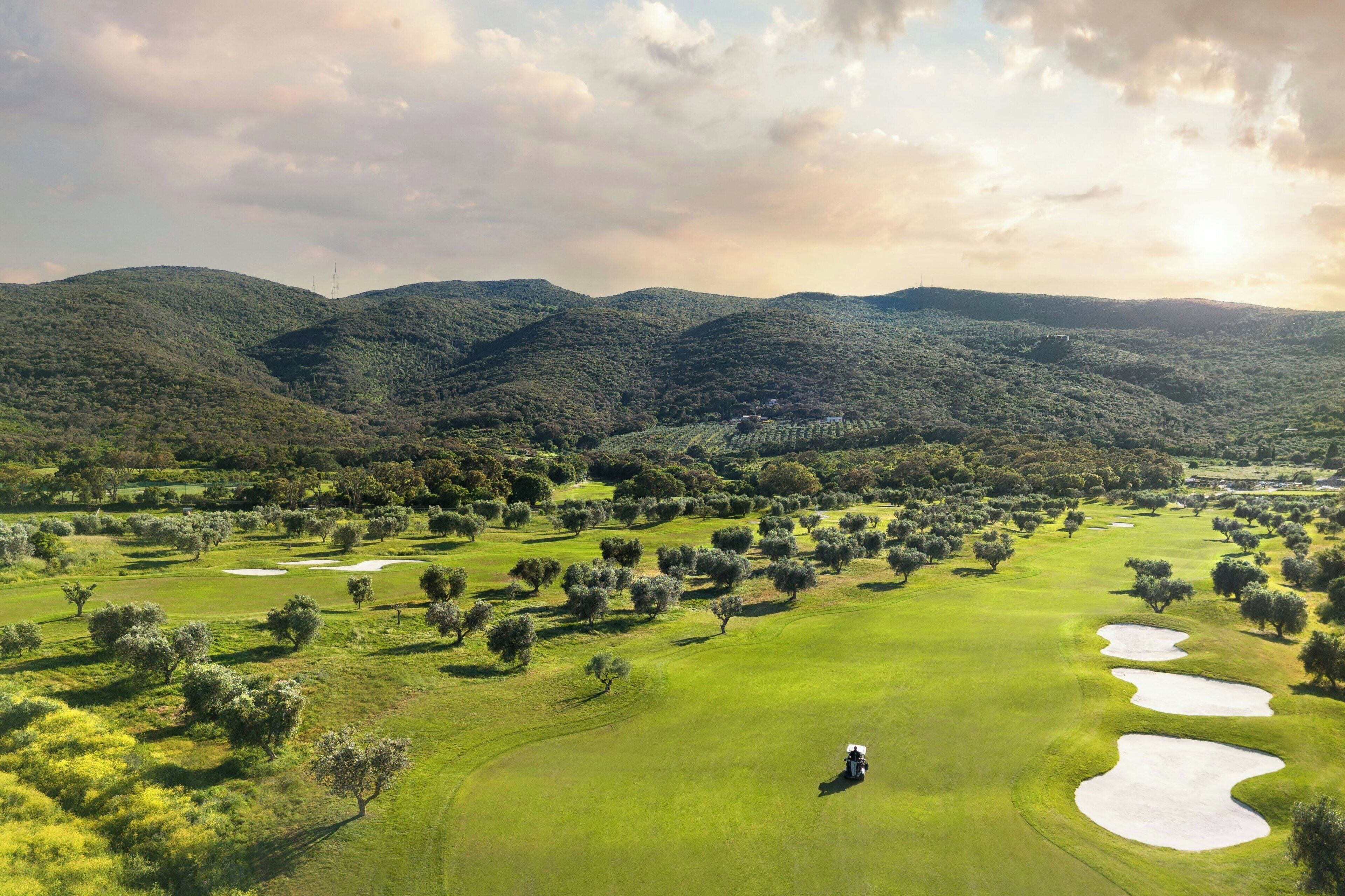 A golf course with rolling hills, trees, and a golf cart.