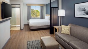 A hotel room with a bed, a sofa, a TV, a window with a view, and a painting on the wall. - Hyatt Place Lake Mary/Orlando North (Lake Mary)