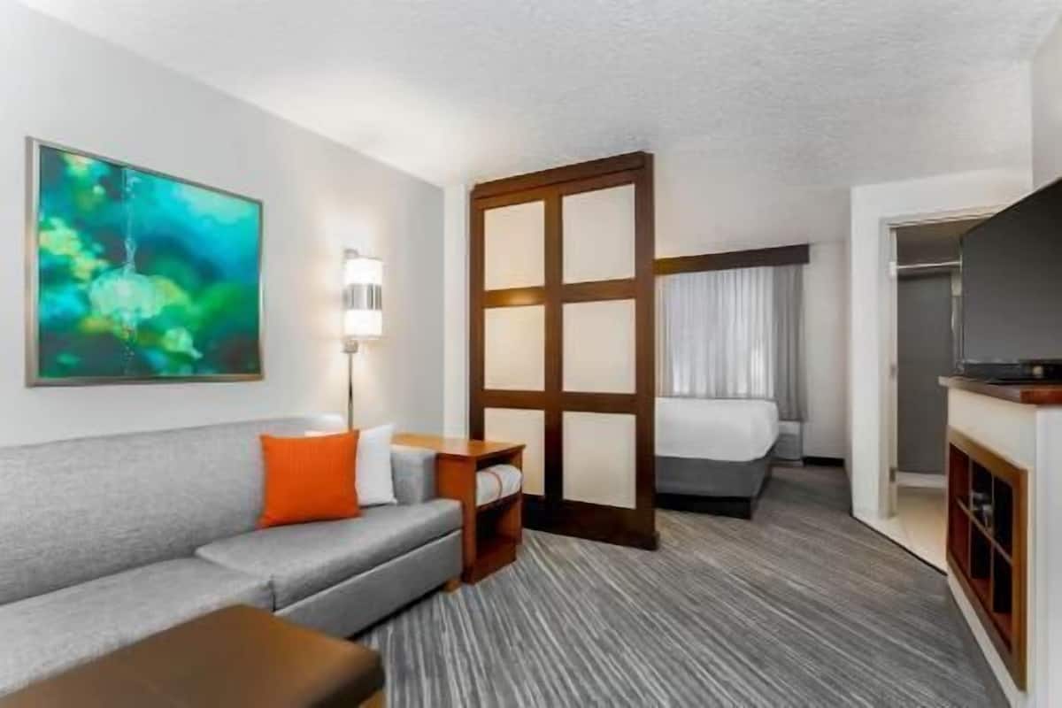 A hotel room with a gray sofa, a small table, a lamp, a painting, a bed, a TV, and a sliding door.