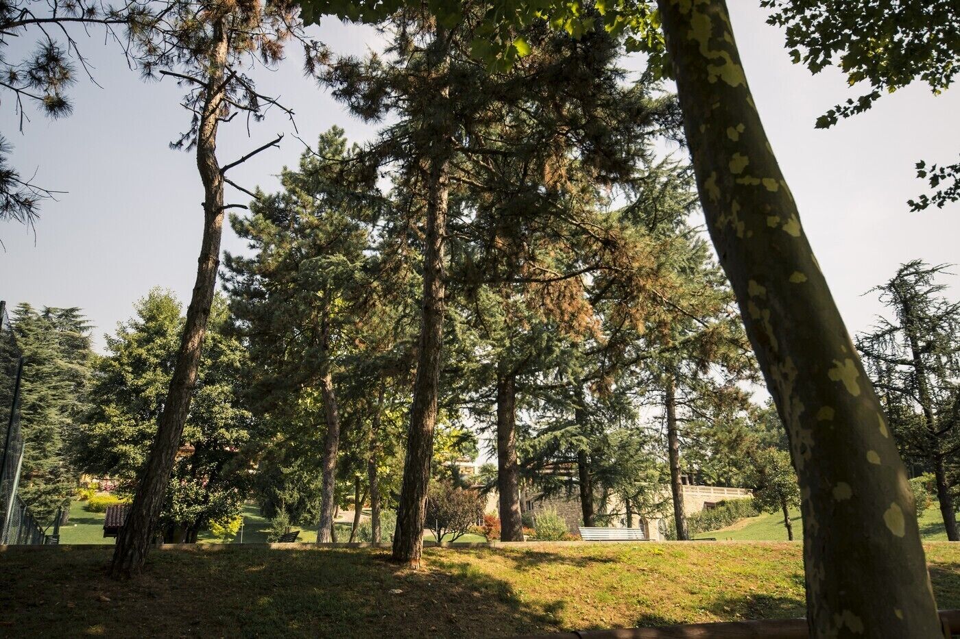 A park with tall trees and a stone building in the background.