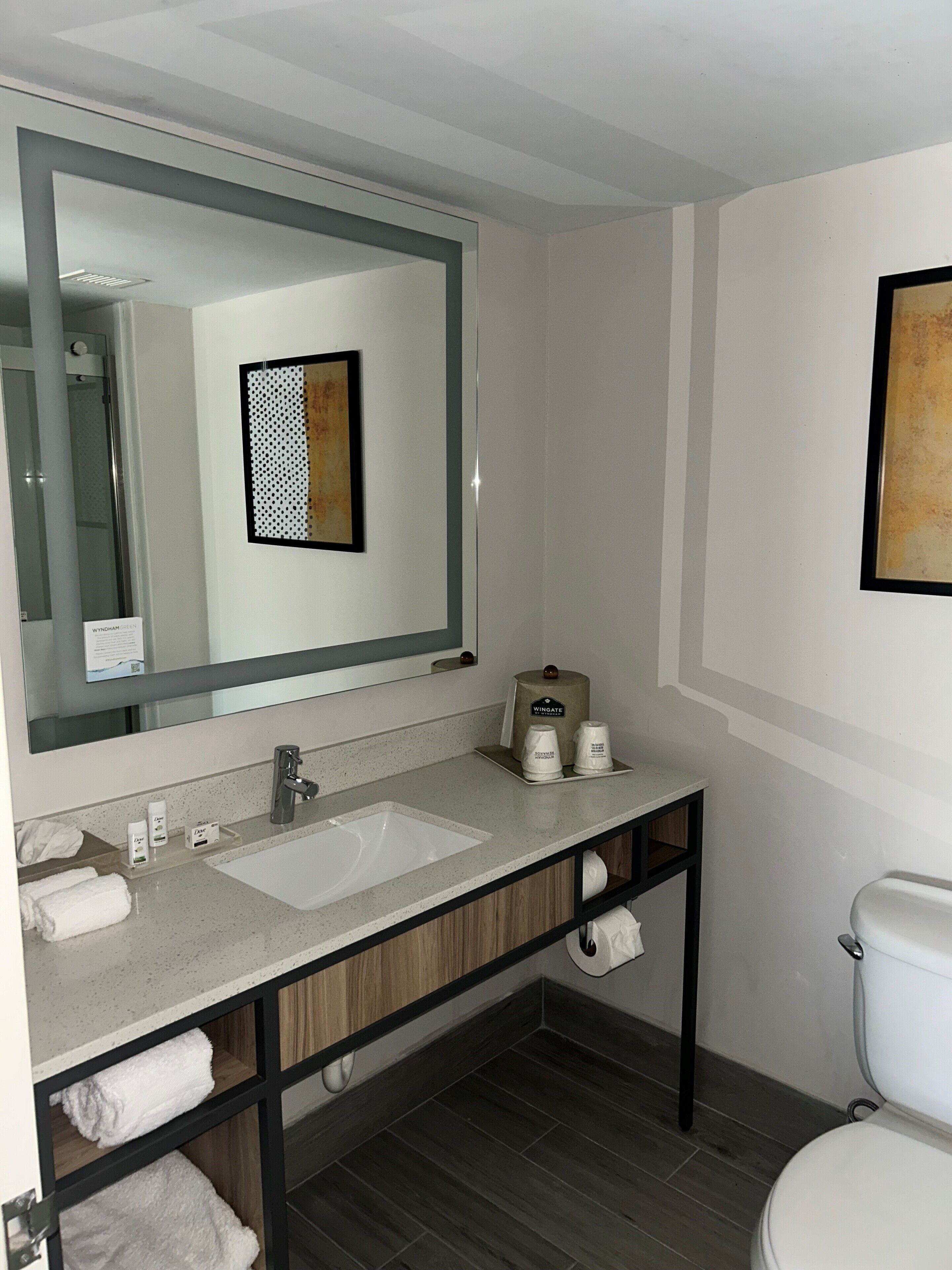 deluxe room, 1 king bed with sofa bed, non smoking | bathroom | designer toiletries, hair dryer, towels