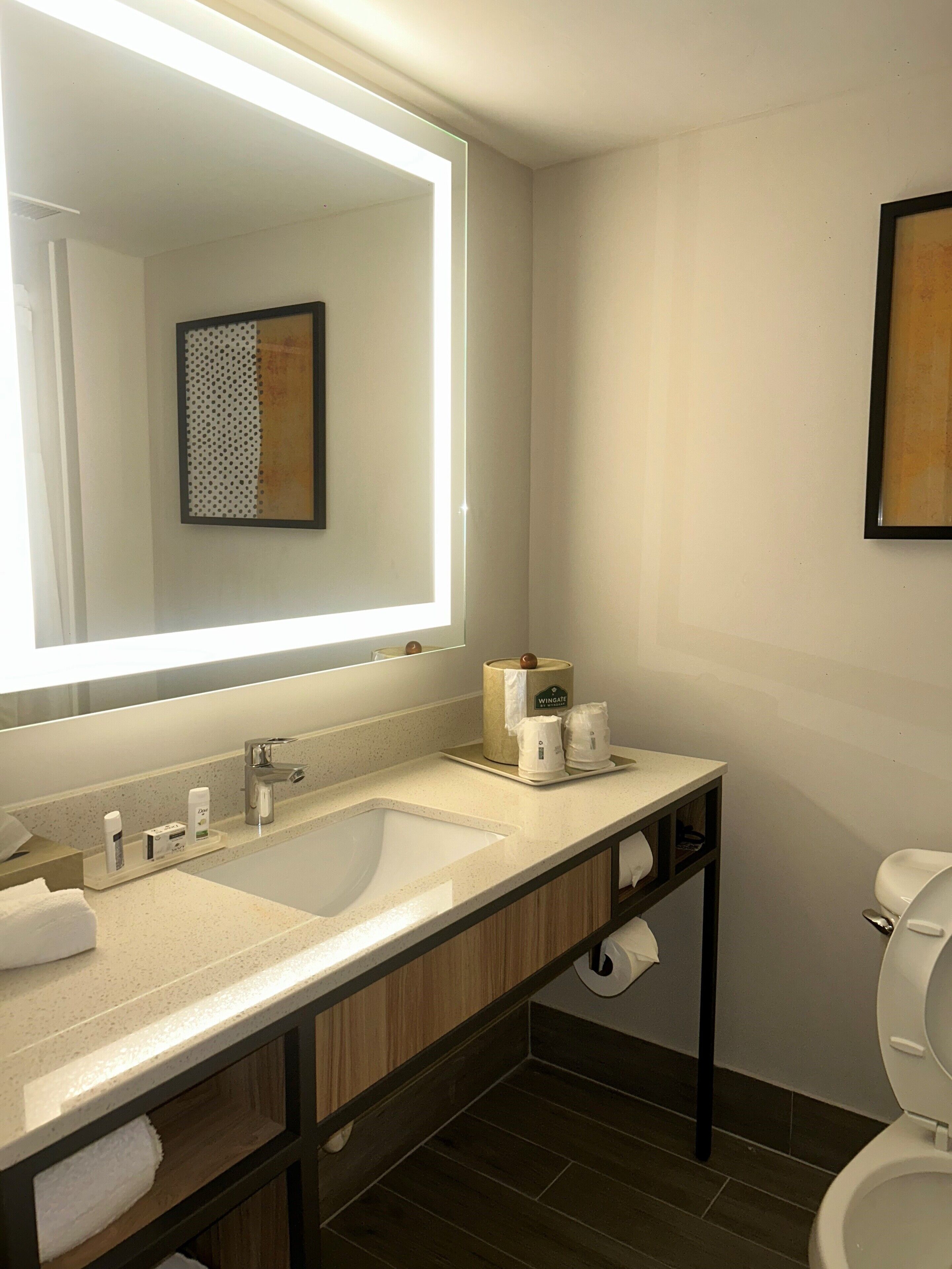 A bathroom with a large mirror, two sinks, a toilet, and a towel rack.