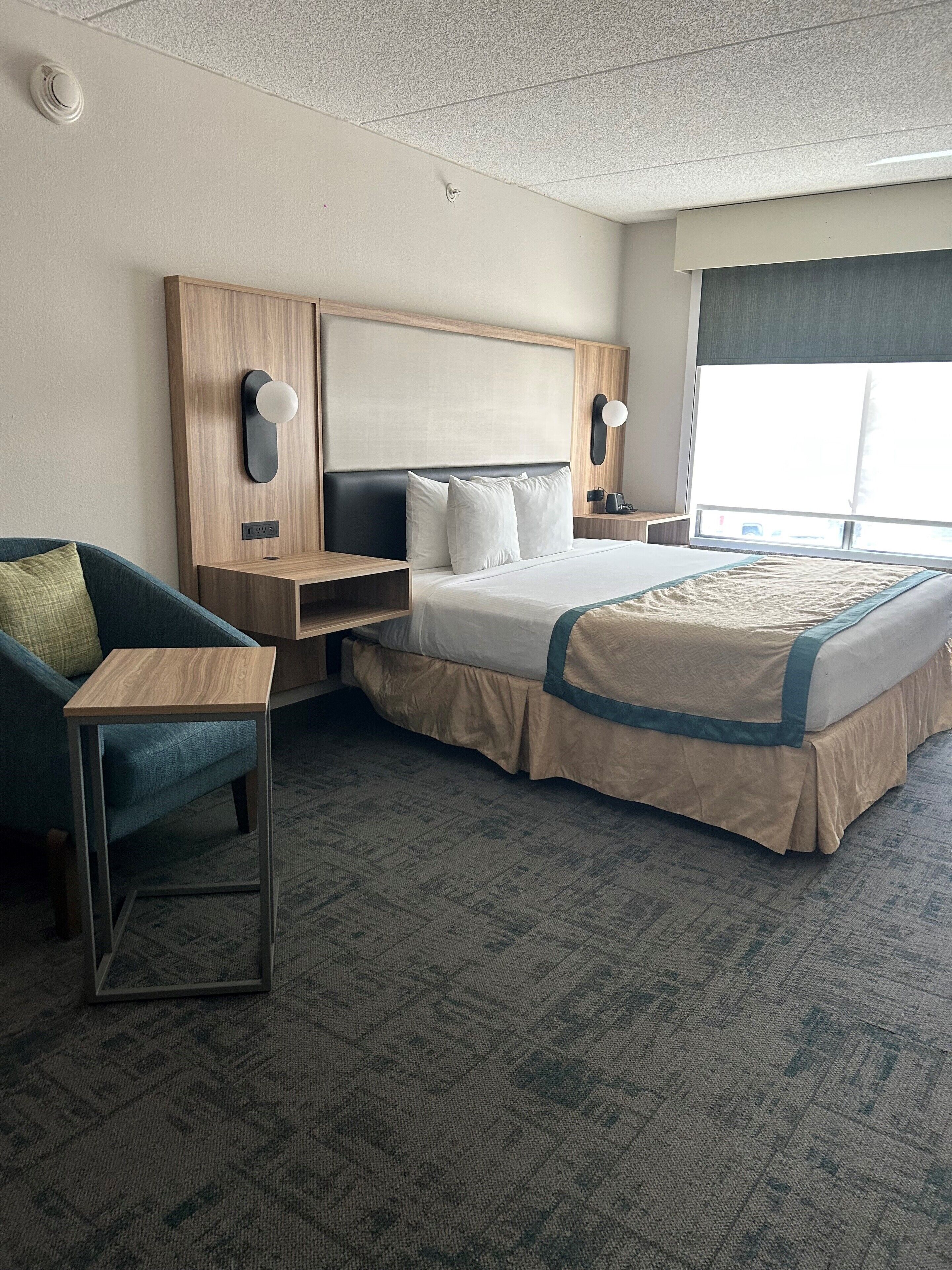 Standard Room, 1 King Bed, Accessible, Non Smoking (Roll-In Shower)