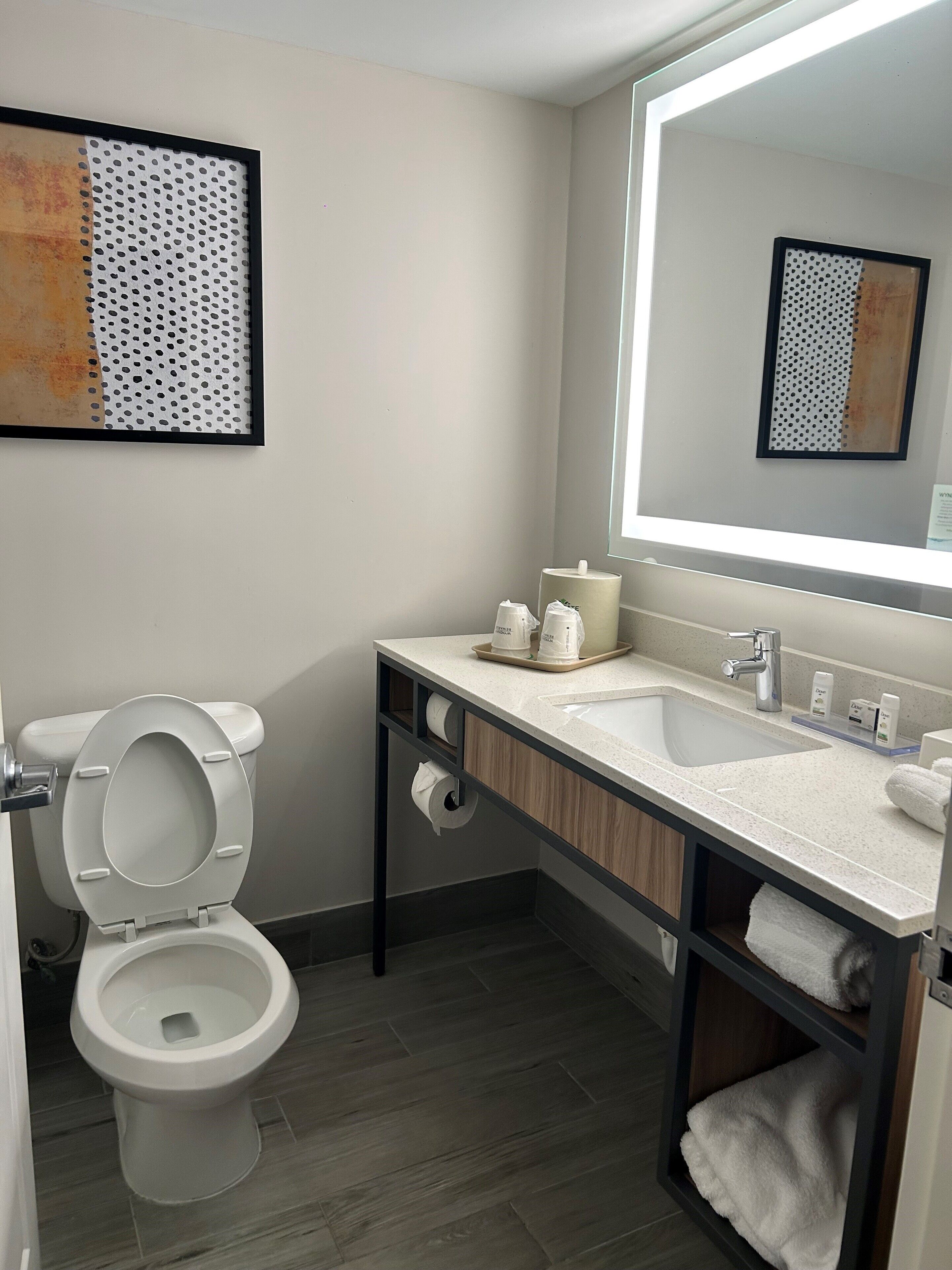 standard room, 1 king bed, accessible, non smoking (roll-in shower) | bathroom | designer toiletries, hair dryer, towels