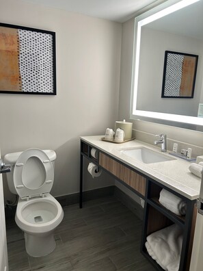 Standard Room, 1 King Bed, Accessible, Non Smoking (Roll-In Shower) | Bathroom