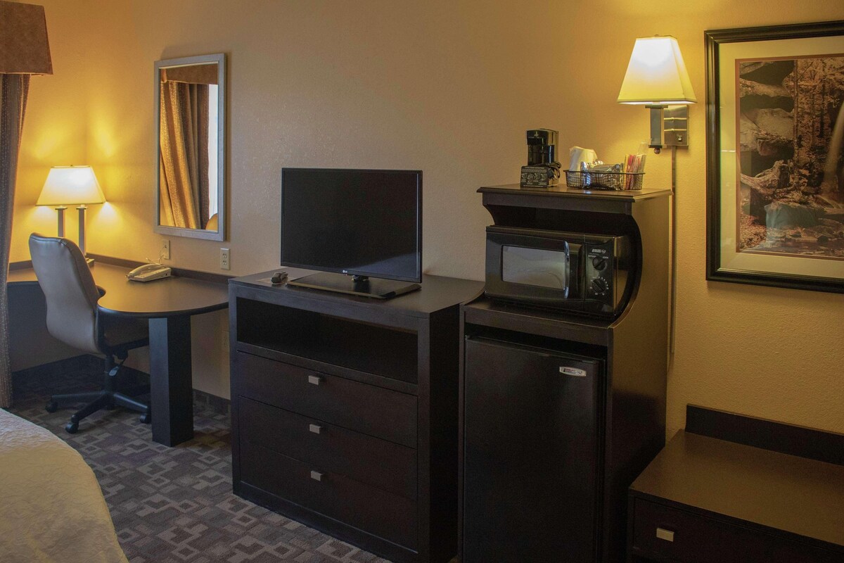A hotel room with a bed, desk, chair, television, microwave, and a framed picture on the wall.