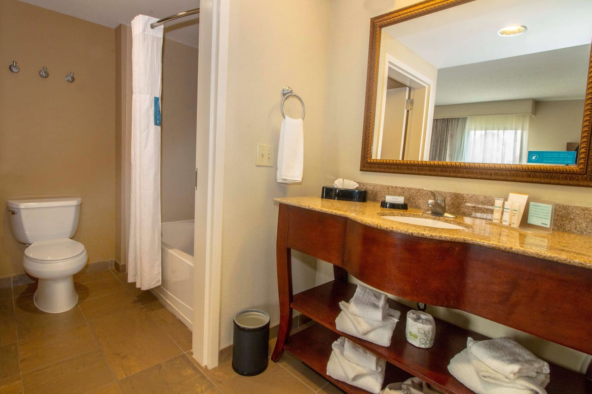 free toiletries, hair dryer, towels