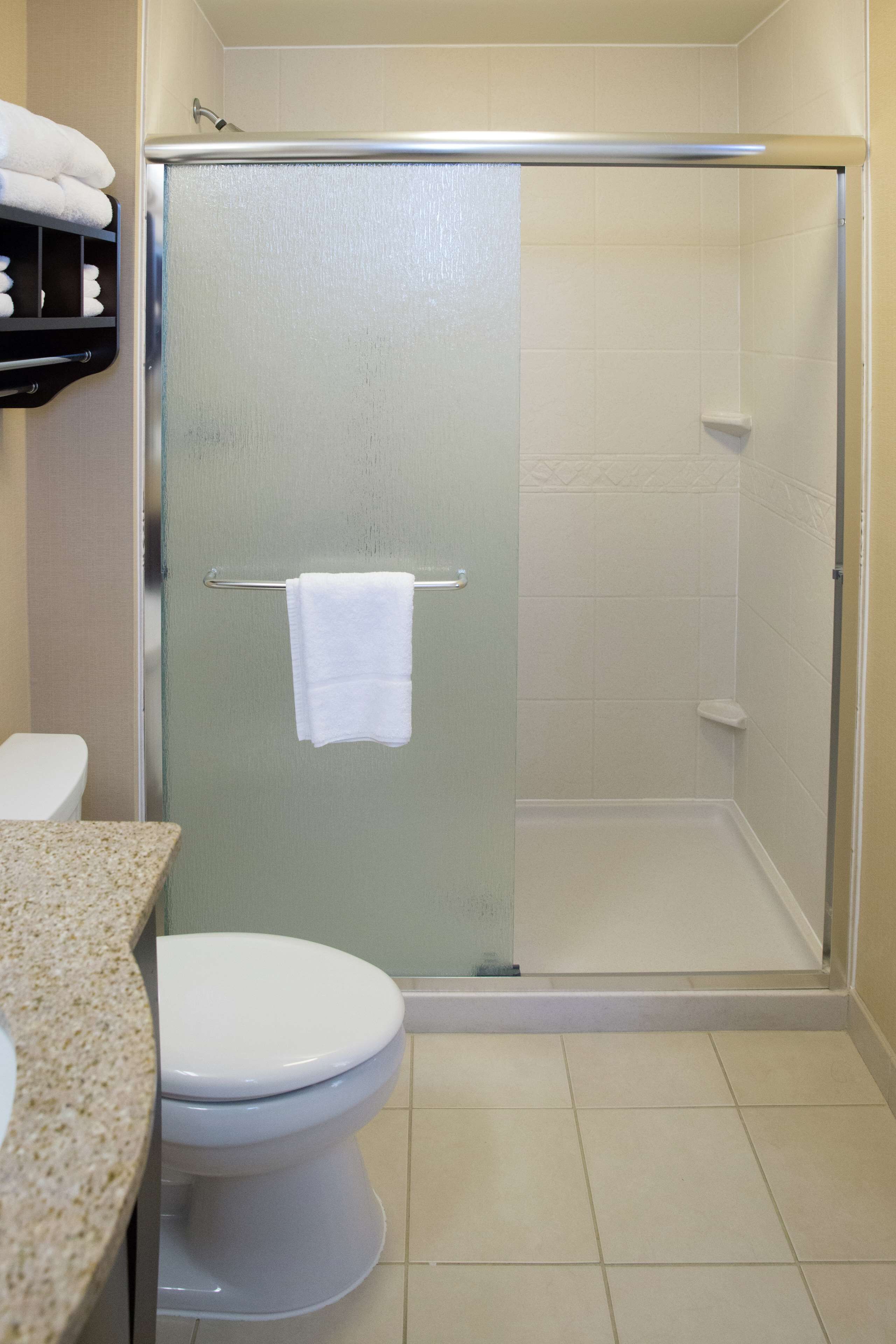 A bathroom with a glass-enclosed shower, a toilet, and a towel rack with towels.