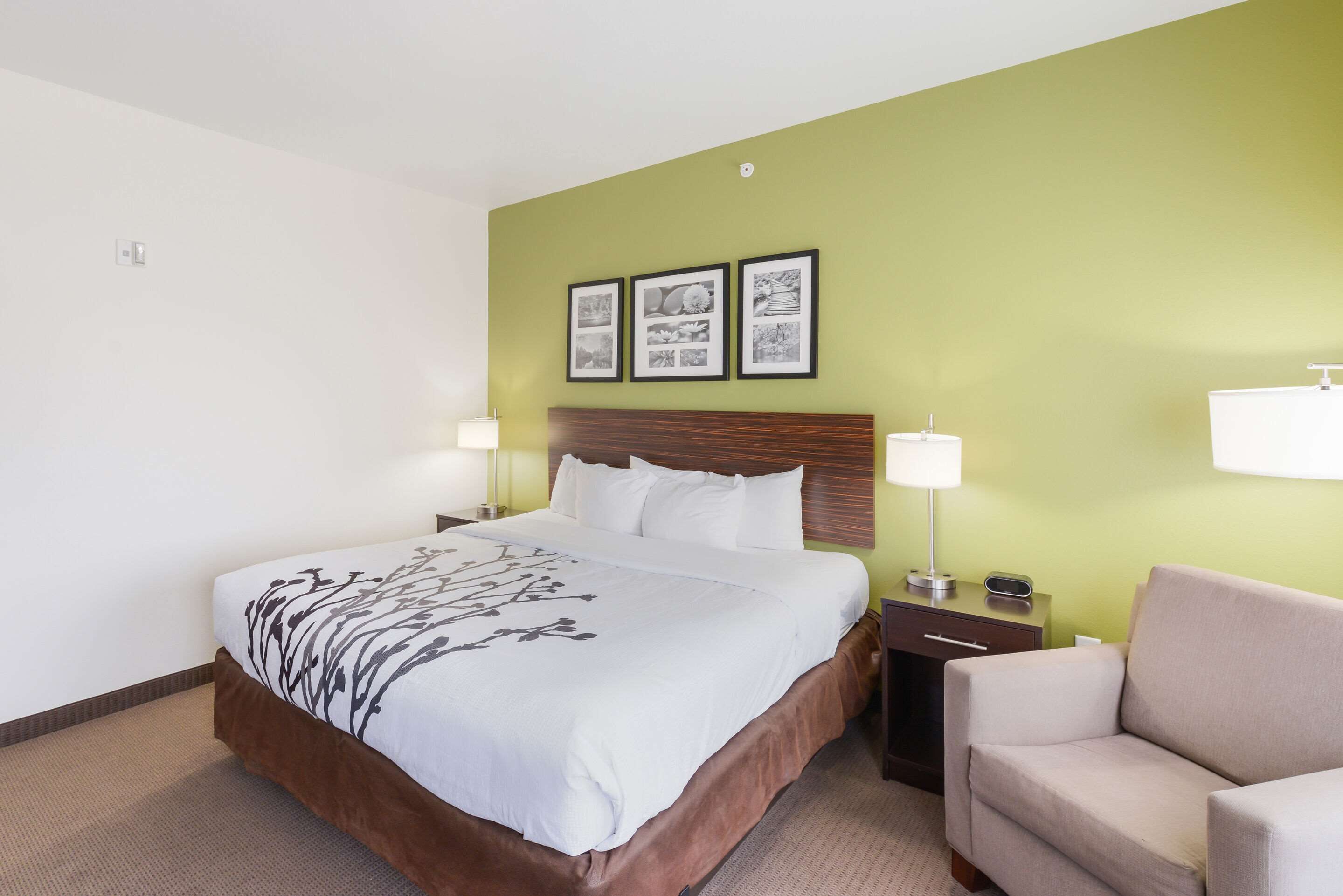 A hotel room with a bed, bedside tables, a chair, and wall-mounted picture frames.