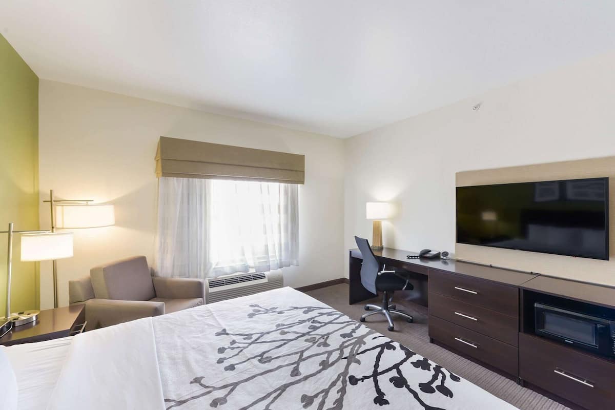 A hotel room with a bed, a desk, a chair, a TV, and a window with curtains.