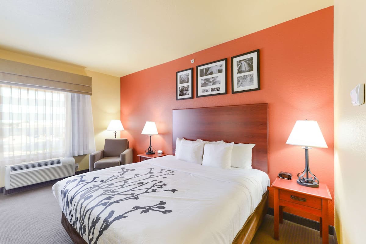 Chambre, 1 très grand lit, accessible aux personnes à mobilité réduite, non-fumeur