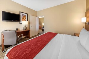 Habitación de hotel con una cama, un escritorio, una silla, un televisor y una puerta que da a un baño.